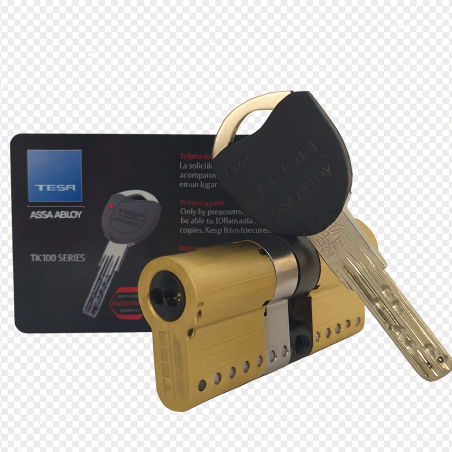 Cilindro Tesa TK100 Configurable