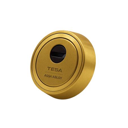 Escudo TESA E900 alta seguridad | Antitaladro y anti-extracción